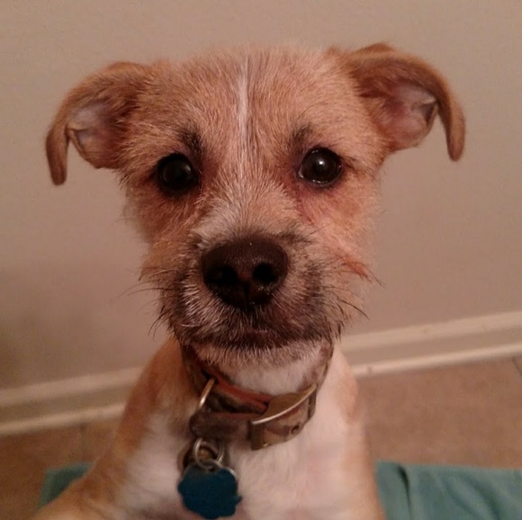 Meet your Posher, Leslie - Picture 1 of 1